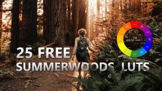 Download 25 Free SUMMERWOODS LUTs of 2020 | Free Download | How to Install LUTs in Photoshop | LUTs PACK 2020