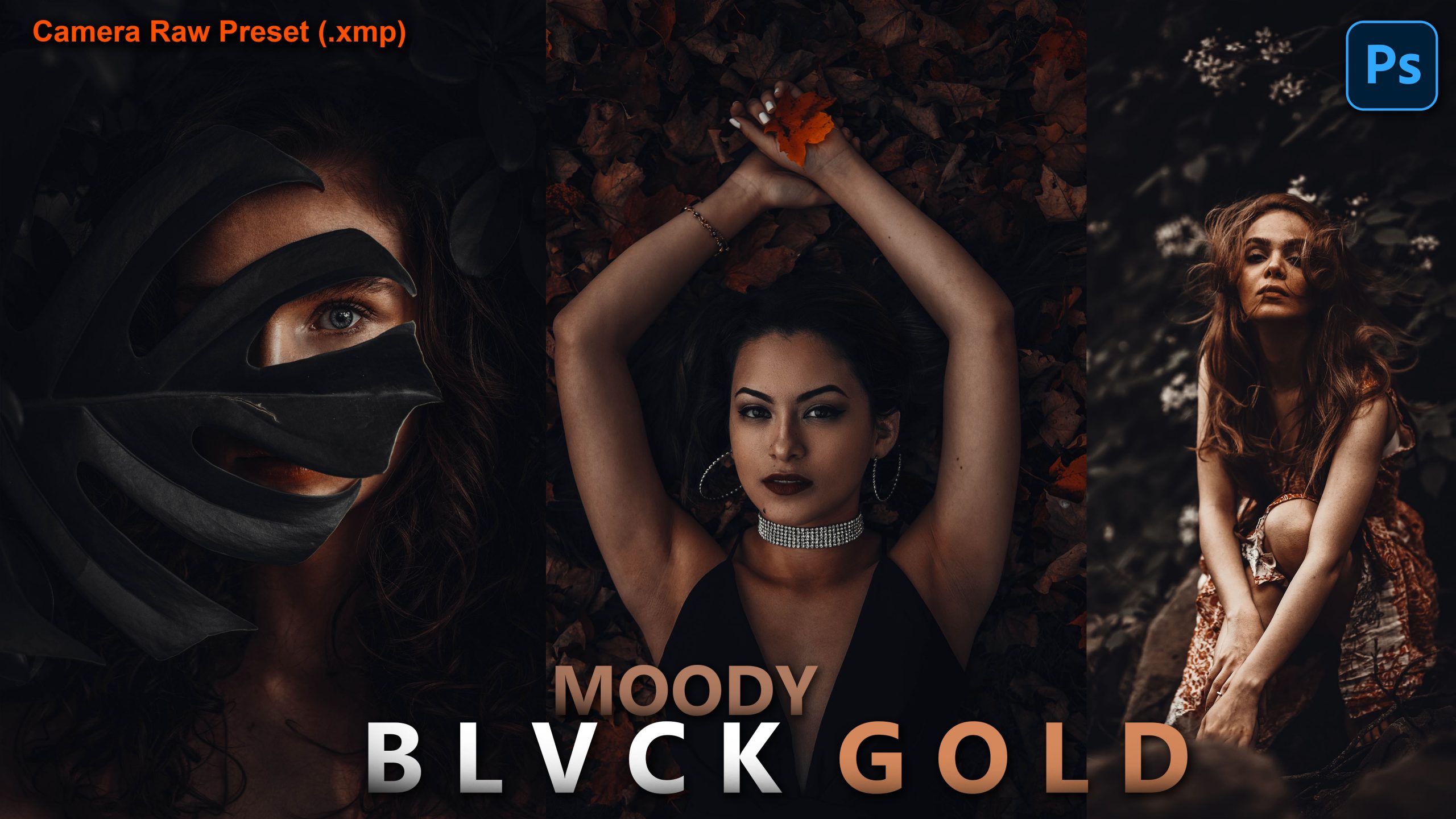 Download Free Moody Blvck Gold Camera Raw Presets Of Moody Blvck Gold Photoshop Preset Of How To Edit Like Moody Blvck Gold Filterpreset Com