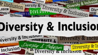Diversity and Inclusion in US Law Schools in 2024